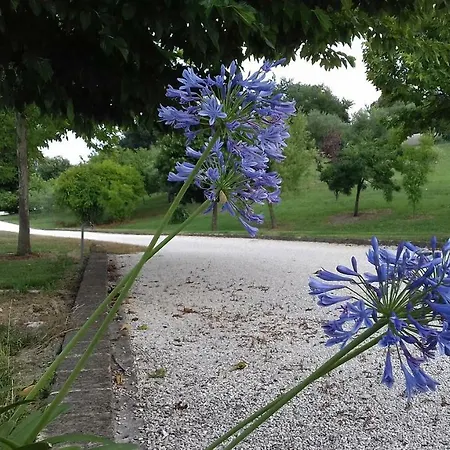 Σπίτι διακοπών Casa Nenella Corridonia